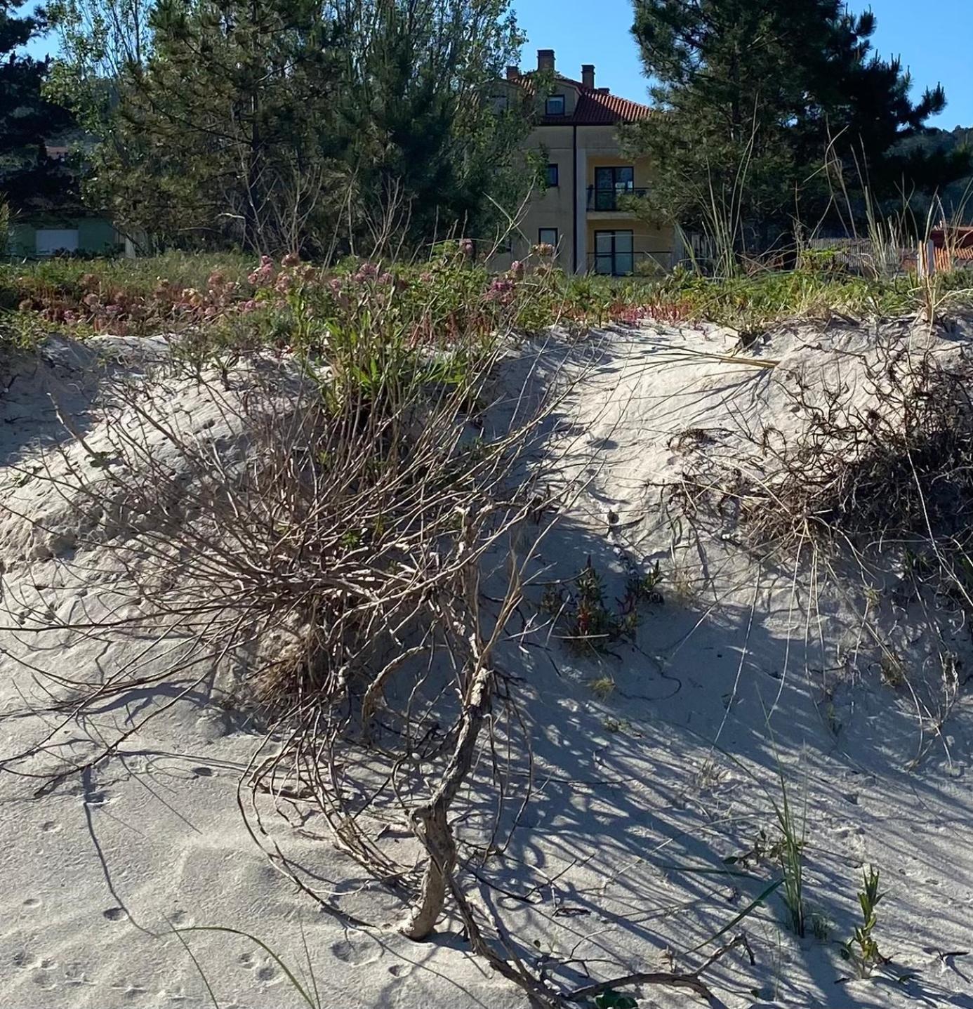 Apto Las Dunas De Langosteira En Finisterre Eksteriør bilde
